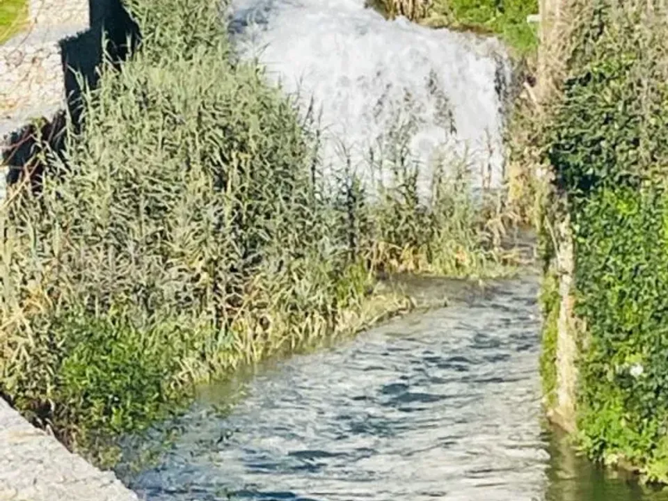 Erhvervsejendom i Condeixa-a-Nova, Coimbra - foto 5