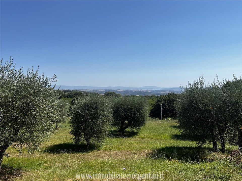 Helårsgrund i Sarteano, Siena - foto 1
