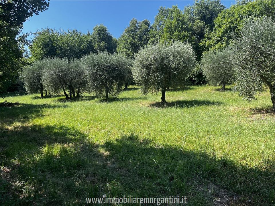 Helårsgrund i Sarteano, Siena - foto 2