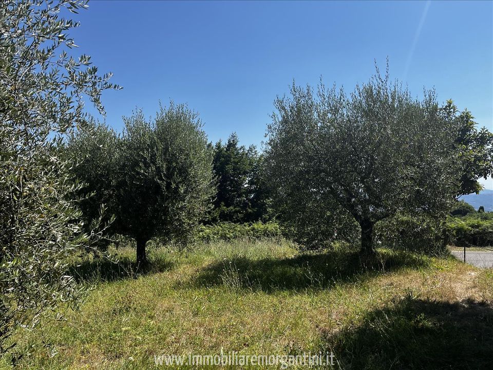 Helårsgrund i Sarteano, Siena - foto 4