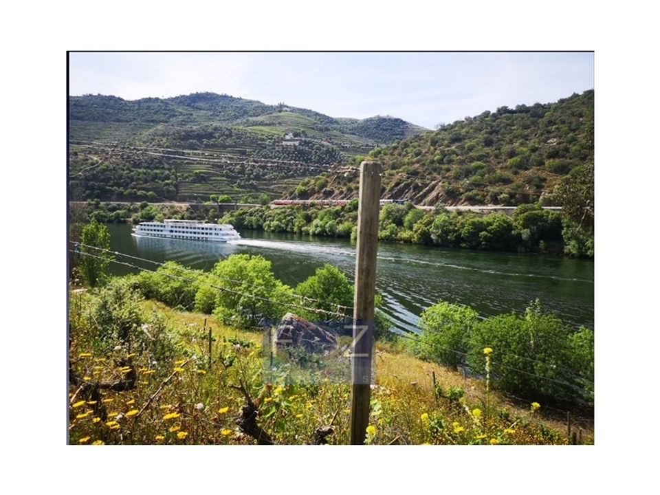Farm i Ervedosa do Douro, Viseu - foto 1