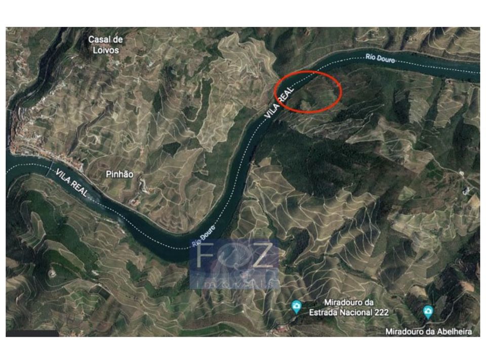 Farm i Ervedosa do Douro, Viseu - foto 3