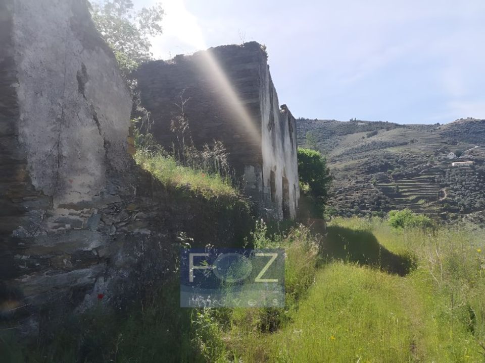 Farm i Ervedosa do Douro, Viseu - foto 5