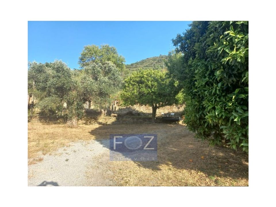 Farm i Ervedosa do Douro, Viseu - foto 3