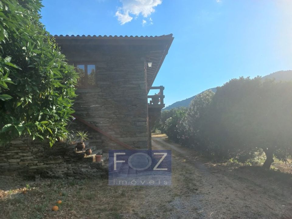 Farm i Ervedosa do Douro, Viseu - foto 4
