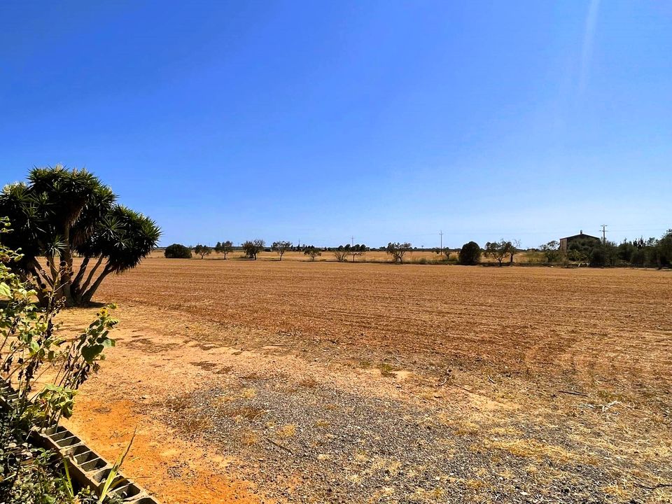 Masia a Campos, Mallorca - foto 2