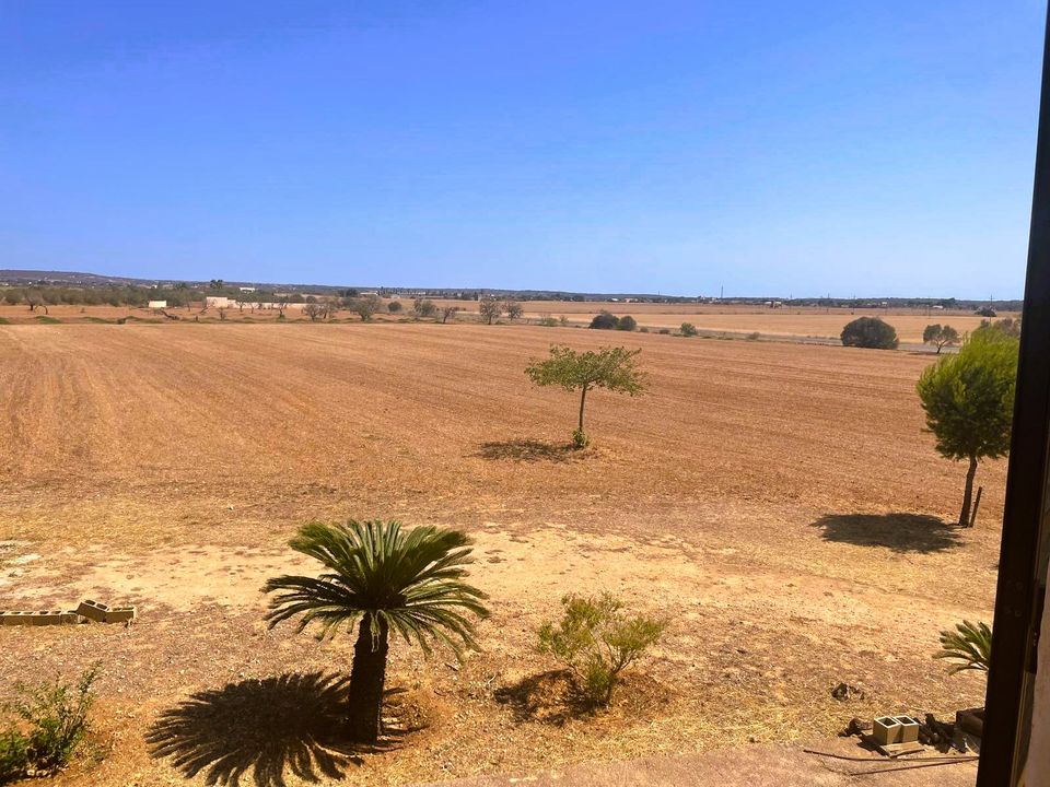 Masia a Campos, Mallorca - foto 3