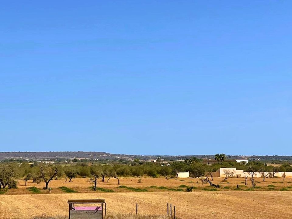 Masia a Campos, Mallorca - foto 4