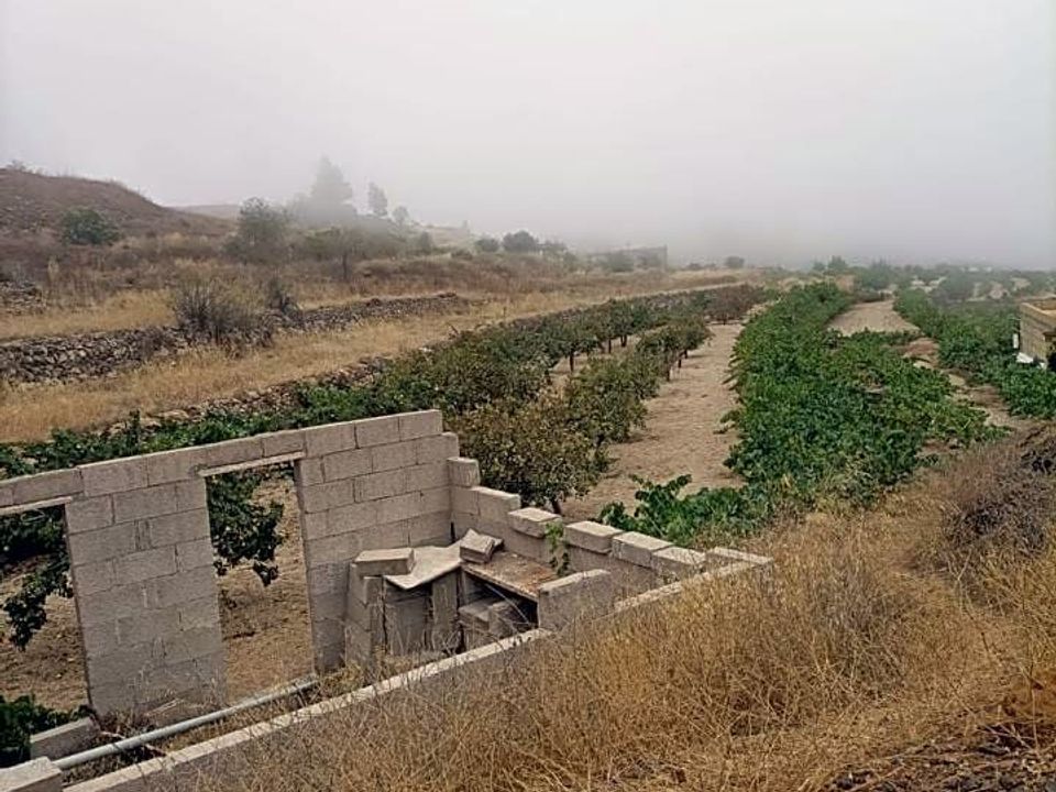 Landejendom i Granadilla, Tenerife - foto 2