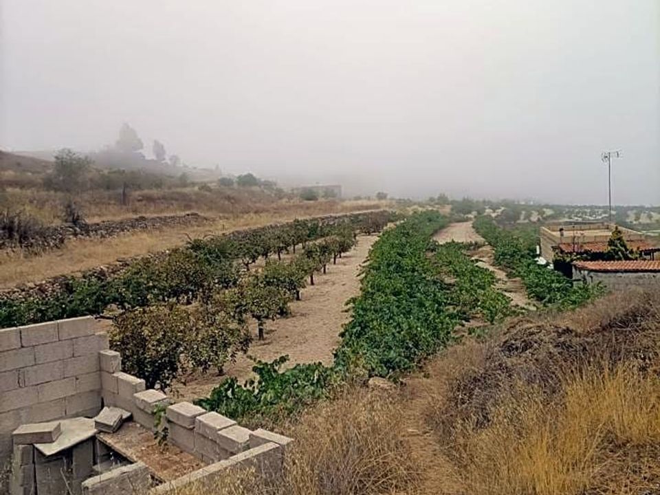 Landejendom i Granadilla, Tenerife - foto 3