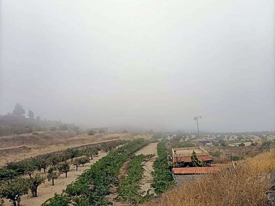 Landejendom i Granadilla, Tenerife - foto 4