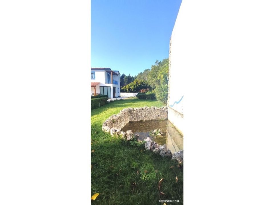 Farm i Alcobaca, Leiria - foto 2