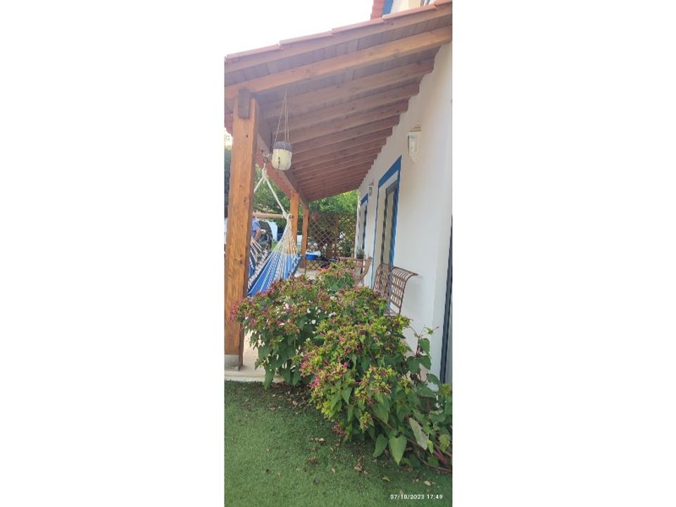 Farm i Alcobaca, Leiria - foto 5