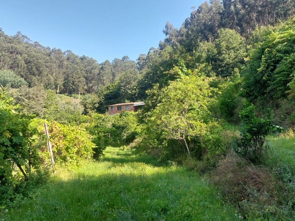 Helårsgrund i Amares, Braga - foto 2