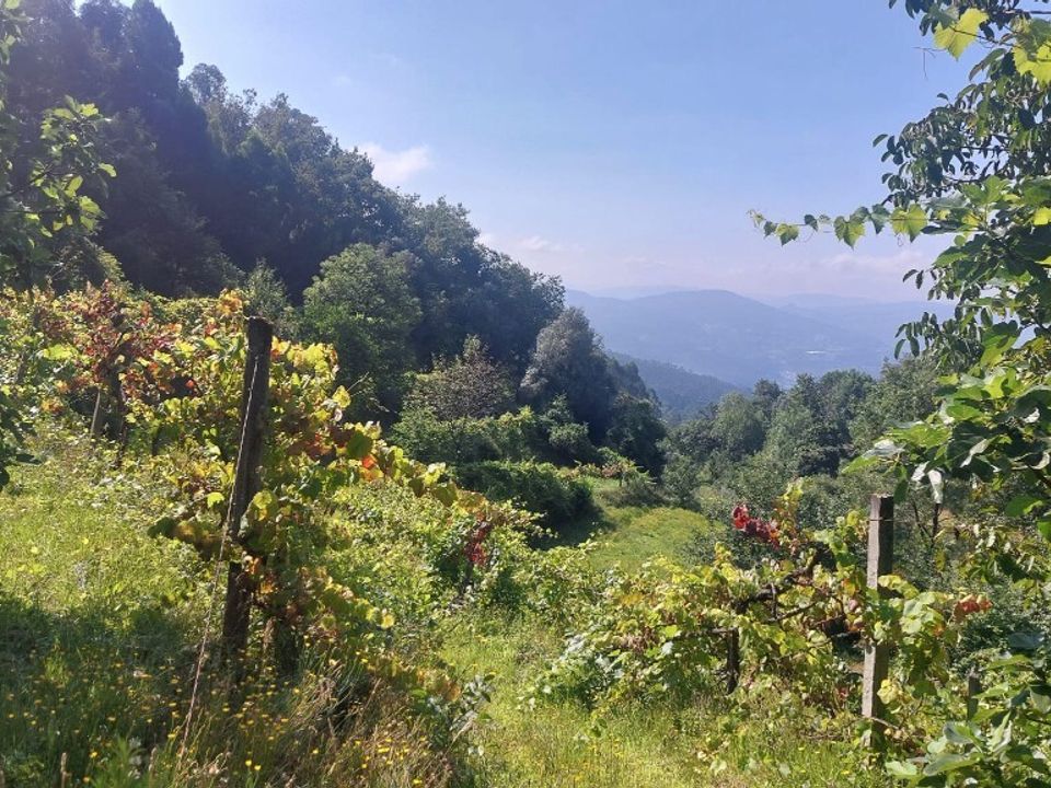 Helårsgrund i Amares, Braga - foto 4