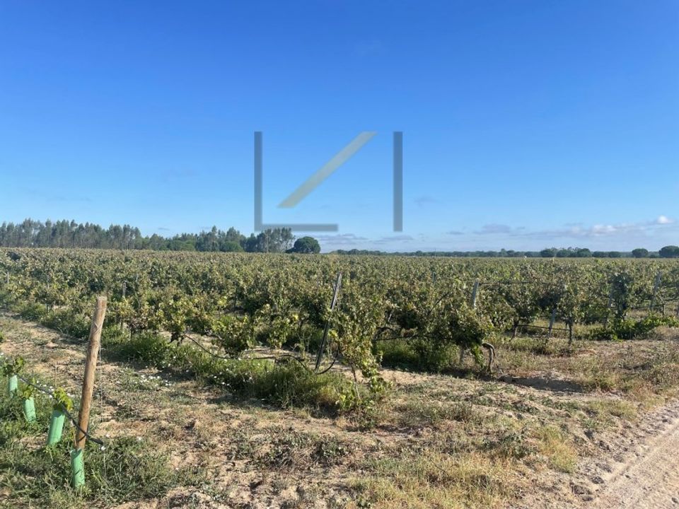Helårsgrund i Palmela, Setubal - foto 5