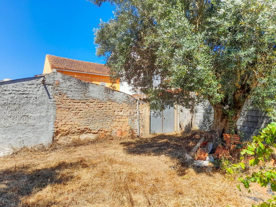 Villa i Soure, Coimbra - foto 1