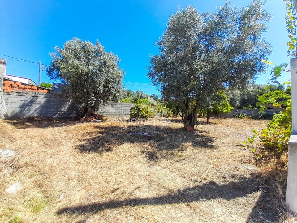 Villa i Soure, Coimbra - foto 2