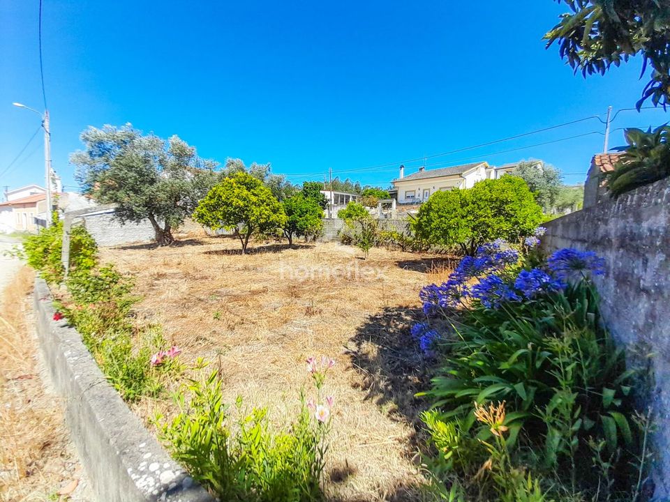 Villa i Soure, Coimbra - foto 3