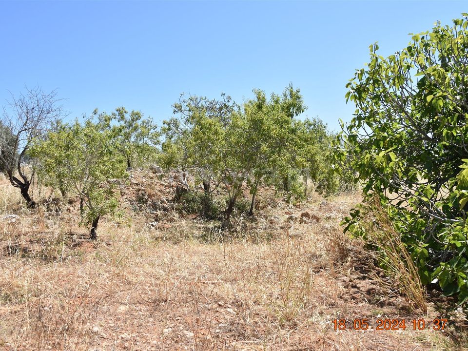 Helårsgrund i Lagoa, Faro - foto 1
