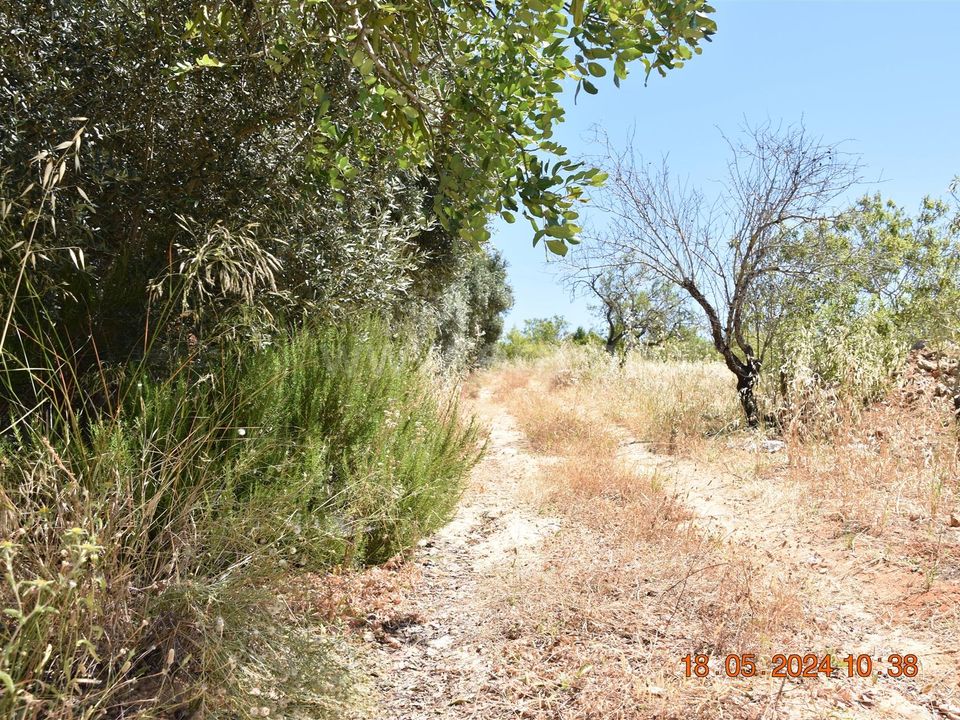 Helårsgrund i Lagoa, Faro - foto 4
