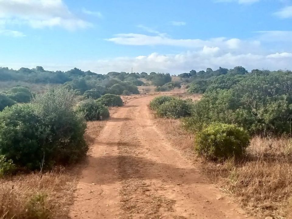 Helårsgrund i Barao de Sao Joao, Faro - foto 2