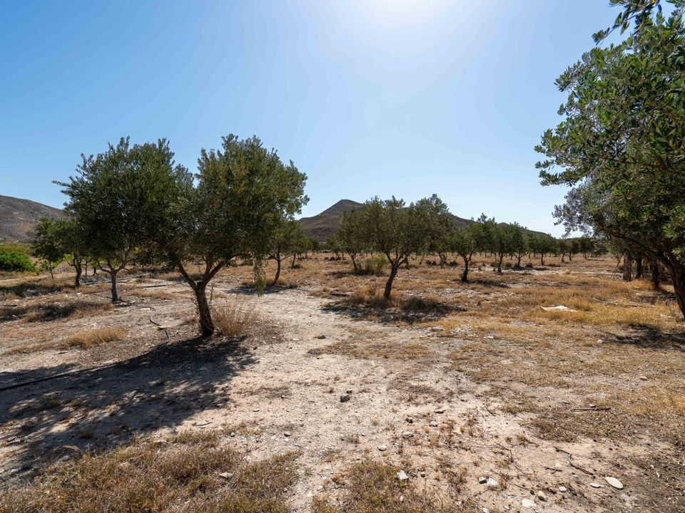 Helårsgrund i Tabernas, Almeria - foto 1