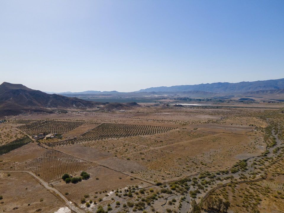 Helårsgrund i Tabernas, Almeria - foto 5