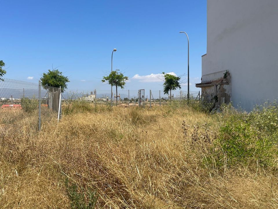 Helårsgrund i Palma De Mallorca, Mallorca - foto 2