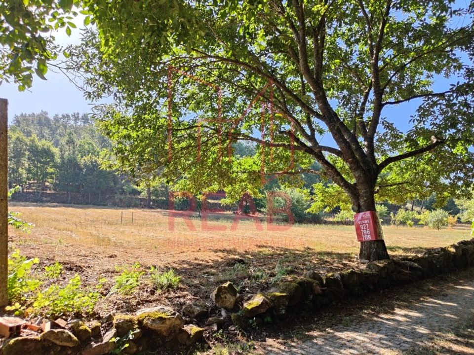 Helårsgrund i Sernancelhe, Viseu - foto 1