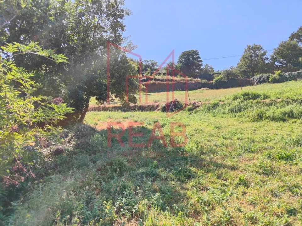 Helårsgrund i Sernancelhe, Viseu - foto 5