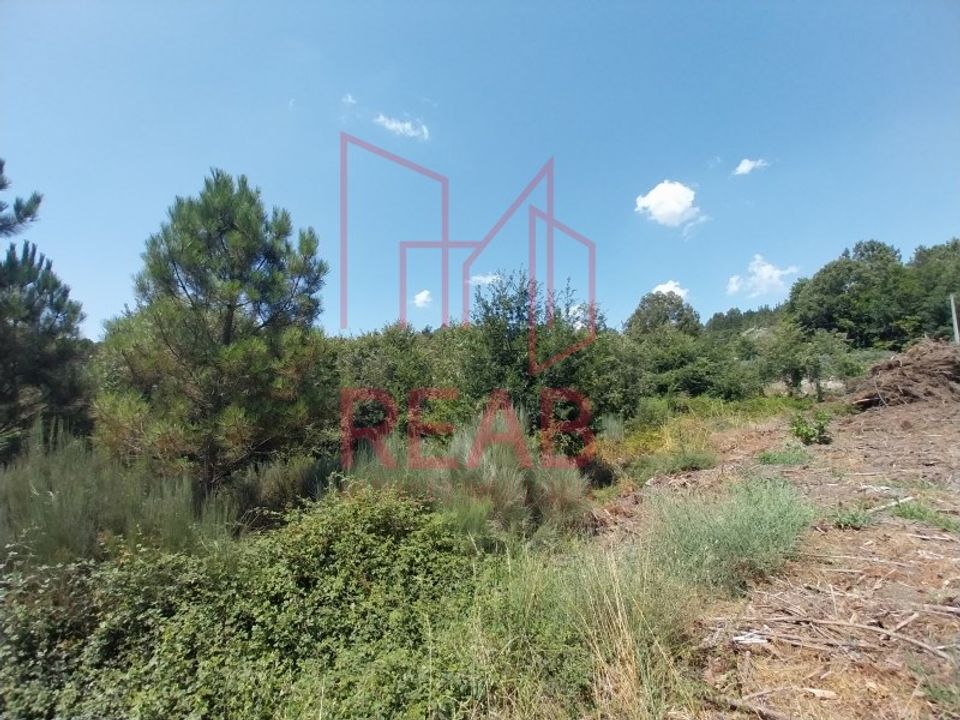 Helårsgrund i Aguiar da Beira, Guarda - foto 5