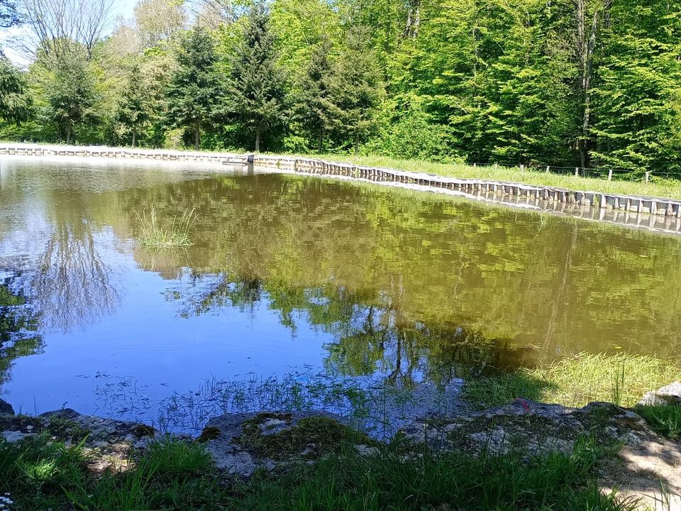 Helårsgrund i Savigny-en-Sancerre, Cher - foto 3