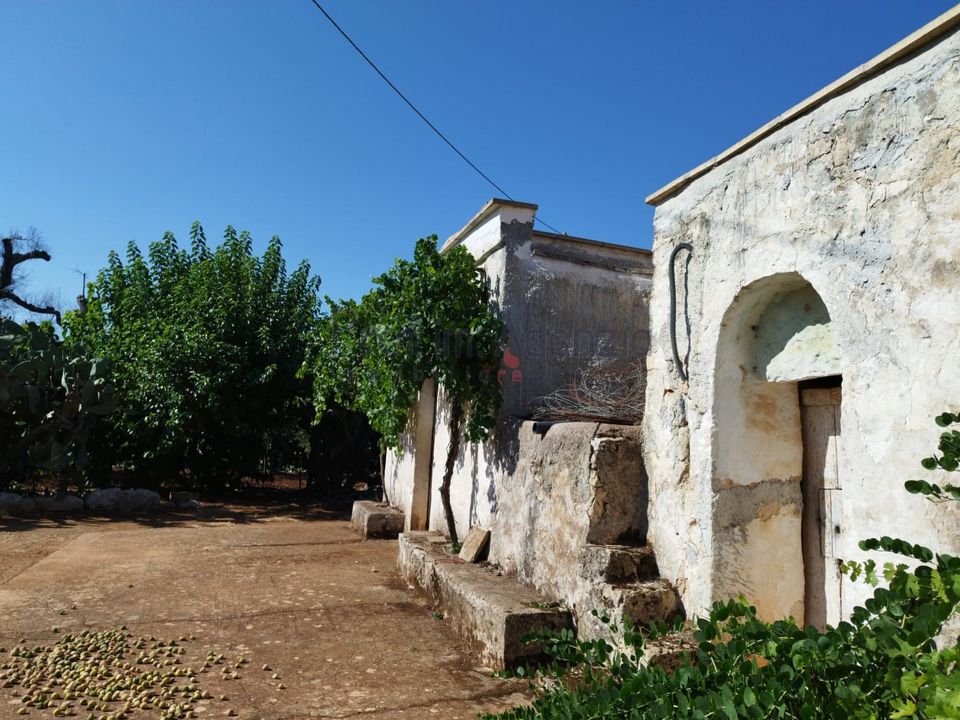 Landejendom i San Vito dei Normanni, Brindisi - foto 4