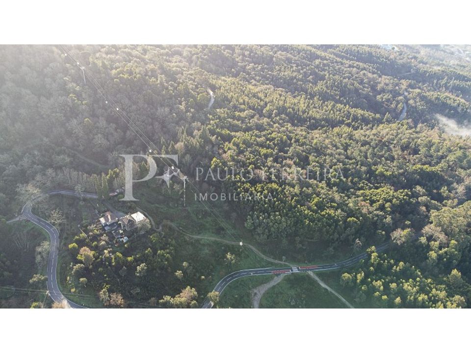 Farm i Guimaraes, Braga - foto 1