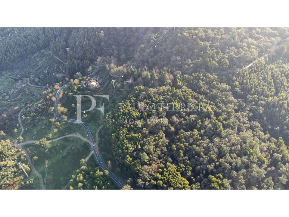 Farm i Guimaraes, Braga - foto 3