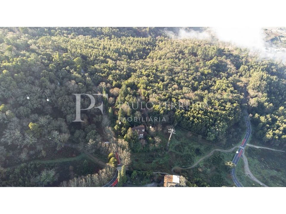 Farm i Guimaraes, Braga - foto 4
