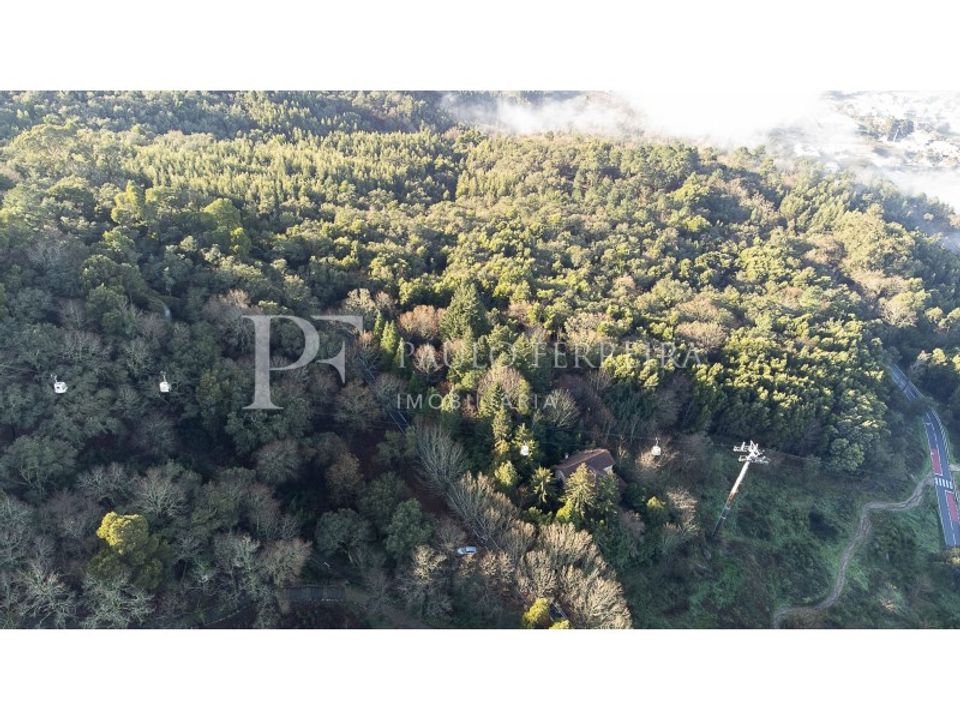 Farm i Guimaraes, Braga - foto 5