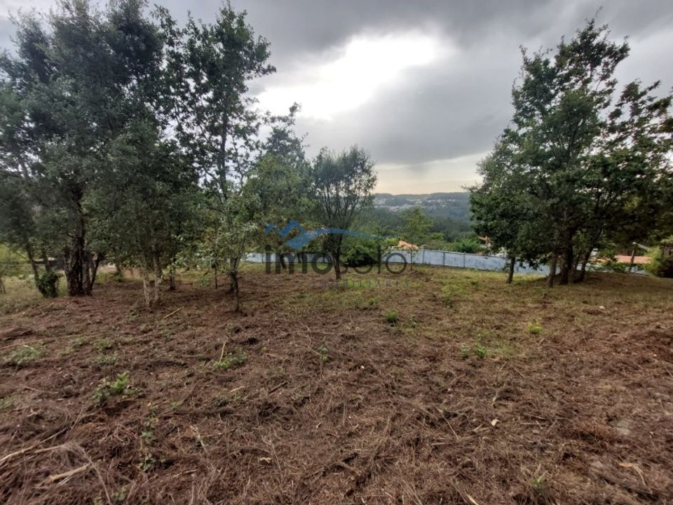 Helårsgrund i Oliveira de Azemeis, Aveiro - foto 1