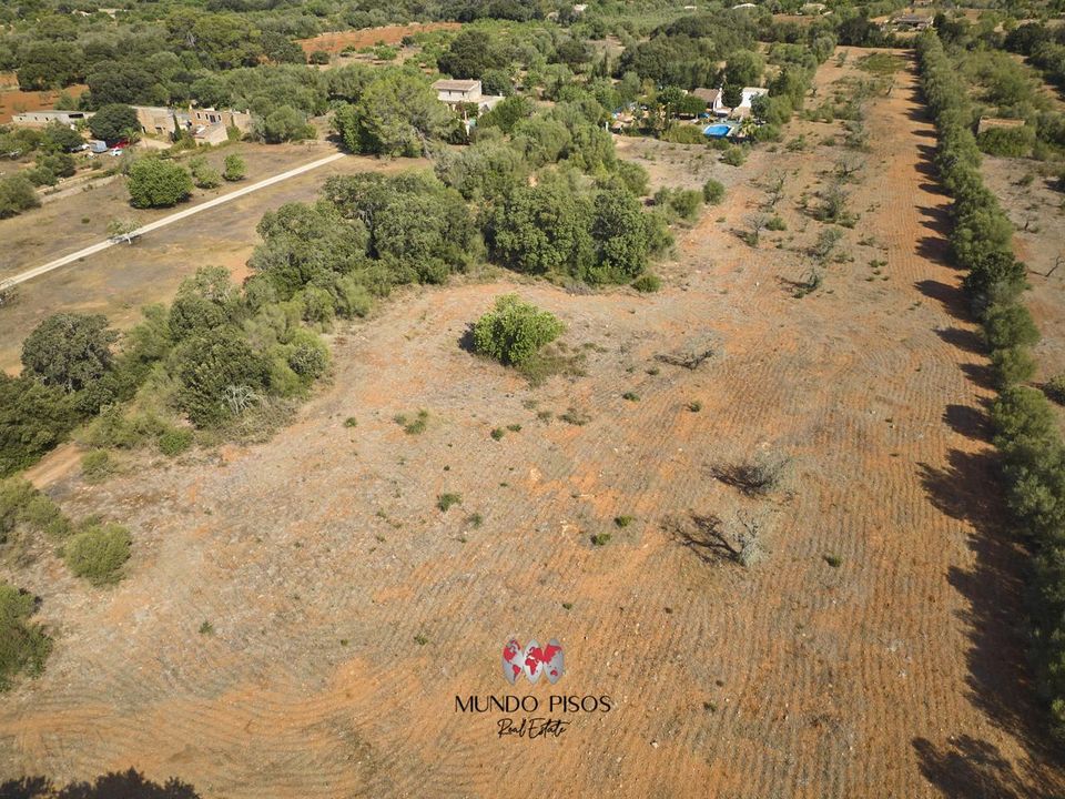 Helårsgrund i Algaida, Mallorca - foto 4