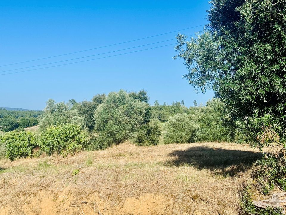 Helårsgrund i Tomar, Santarem - foto 3