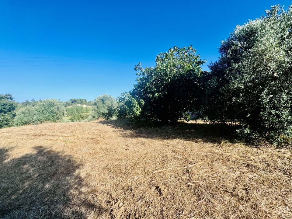 Helårsgrund i Tomar, Santarem - foto 4