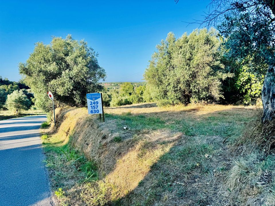 Helårsgrund i Tomar, Santarem - foto 2