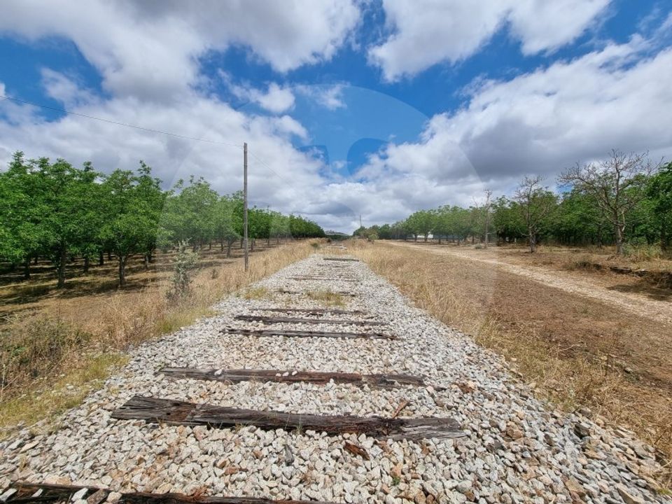 Helårsgrund i Estremoz, Evora - foto 4