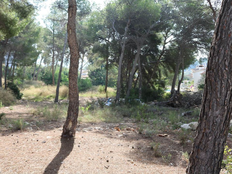 Helårsgrund i Moraira, Alicante - foto 3
