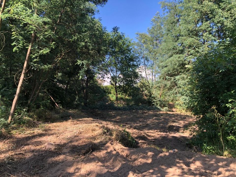 Helårsgrund i Santa Comba Dao, Viseu - foto 2