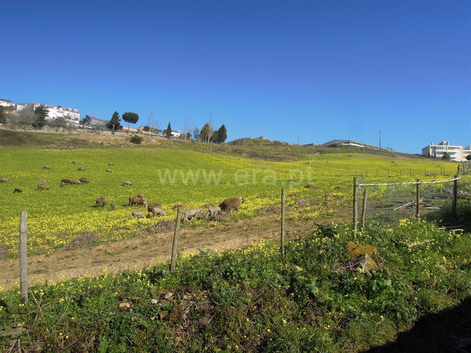 Helårsgrund i Sobral de Monte Agraco, Lisbon - foto 4
