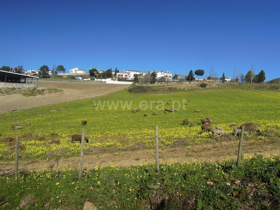 Helårsgrund i Sobral de Monte Agraco, Lisbon - foto 5