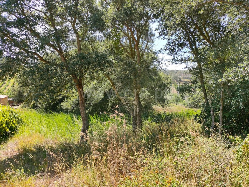 Helårsgrund i Bombarral, Leiria - foto 3