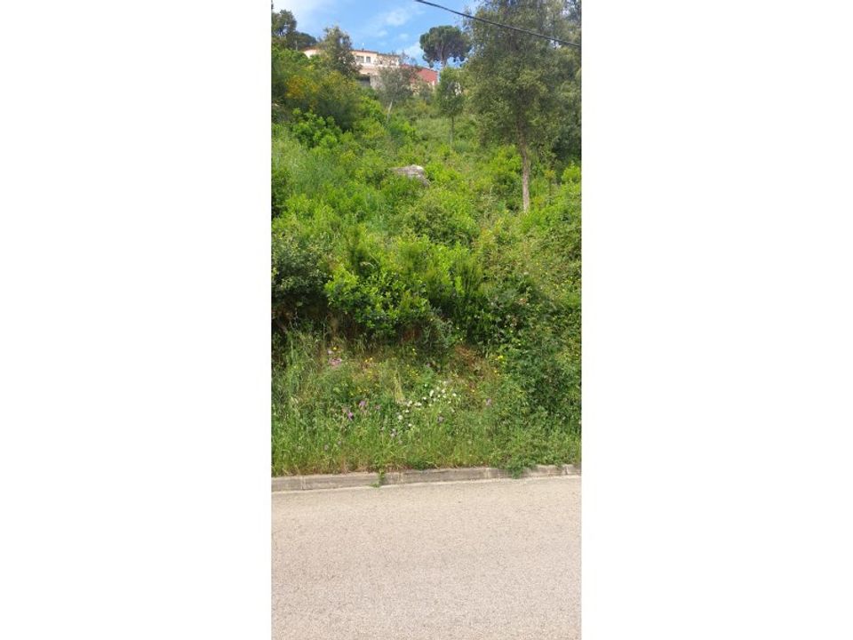 Helårsgrund i Calonge, Gerona - foto 3